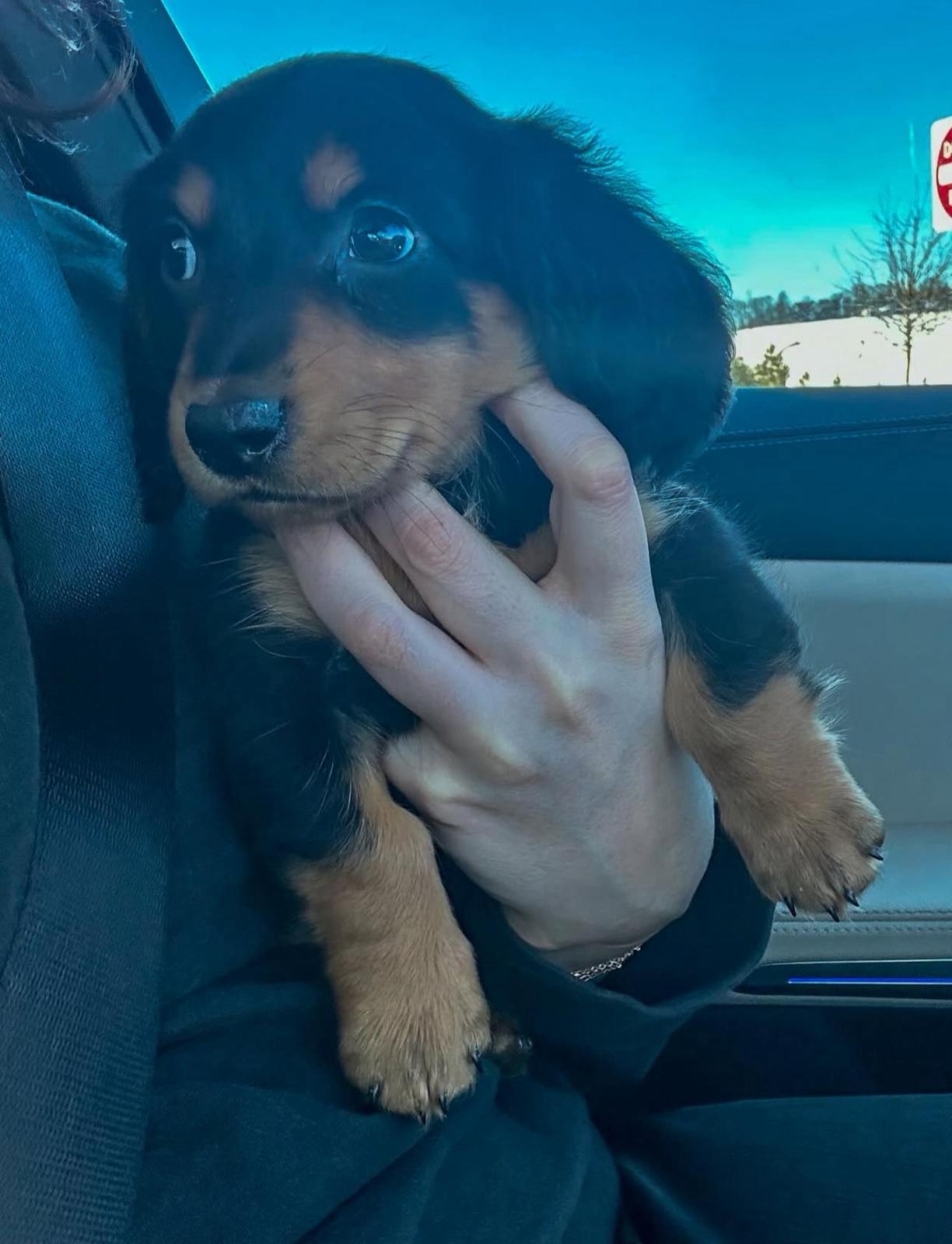 Happy family with their puppy