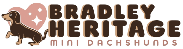 Bradley Heritage Mini Dachshunds